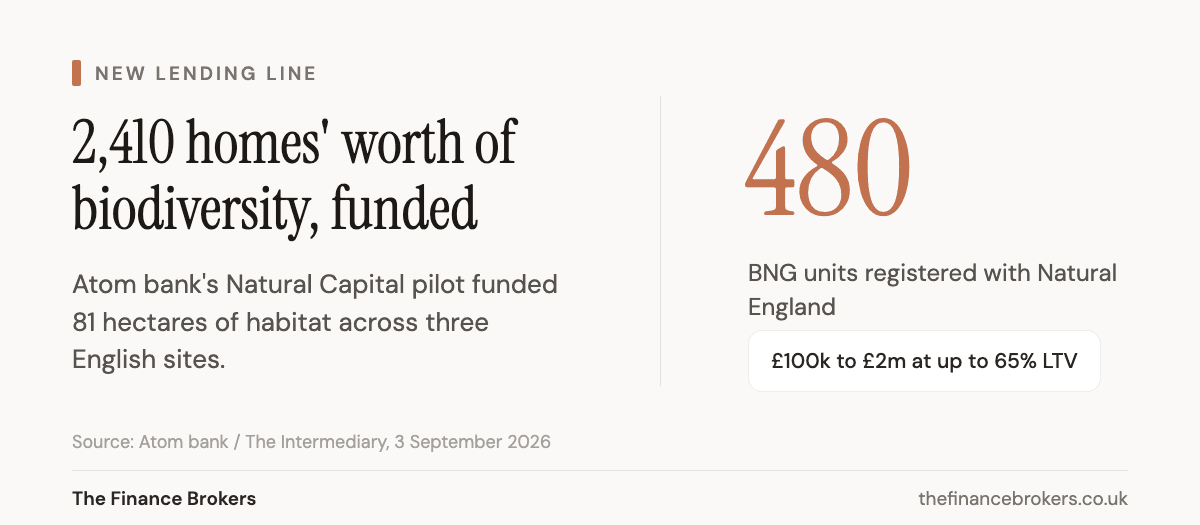 Chart: Atom bank's Natural Capital pilot funded 81 hectares of habitat across three English sites, creating 480 BNG units registered with Natural England, with loans of £100k to £2m at up to 65% LTV